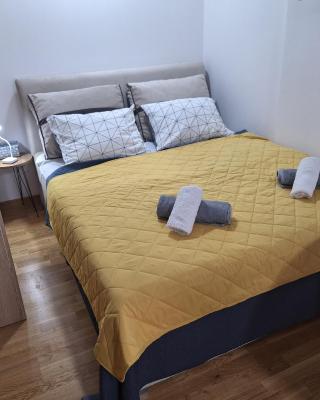 Studio apartman Delight Vrnjačka banja