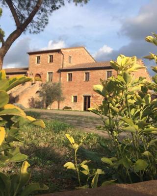 Podere La Ceppa1