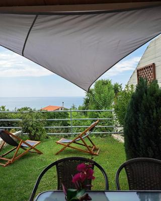 Olive tree villa