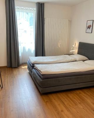 B&B Berninapass