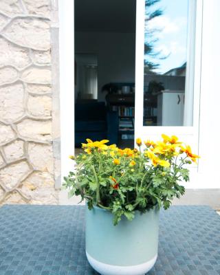 Appartement avec terrasse privée, plage à pied