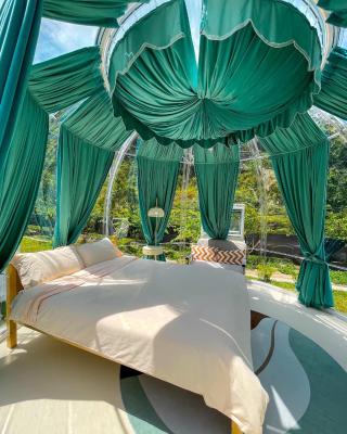 The Starry Dome Couple Room