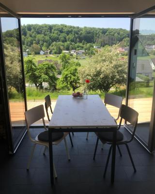 eifelhausaufzeit-Vulkaneifel-Architekten-Chalet mit Sauna im Vulkankrater