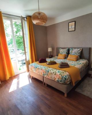 Toul superbe appartement plein centre
