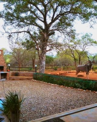 Flight of the Eagle @ Kruger