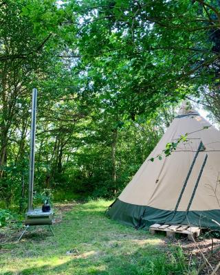 Kleine Tipi Texel