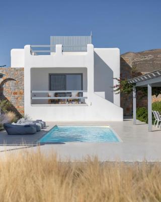 Villa Dione, private pool & seaview by Naxos Dunes