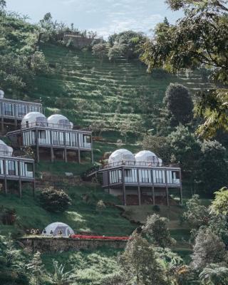 Damar Langit Resort