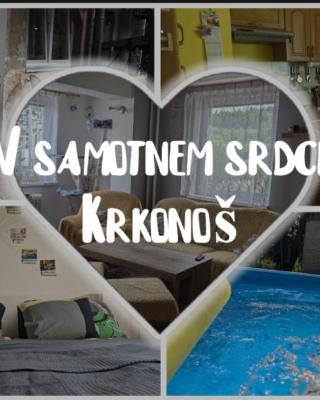 Ubytování Pod Něžnym Obrem