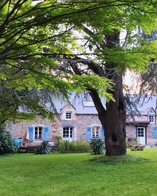 La suite d'Anna