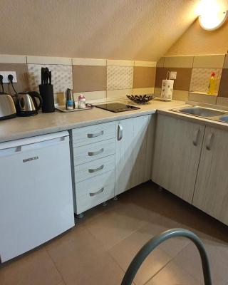 Ágnes Vendégházak Siófok-apartman 2