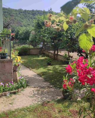 Vila Iva
