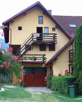 Pensiunea Dealul Frumos