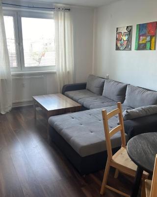 Apartman Rose