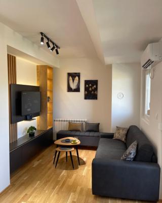 Cozy lux mountain apartment