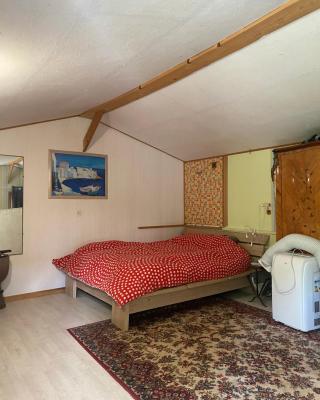 Chalet chez habitant