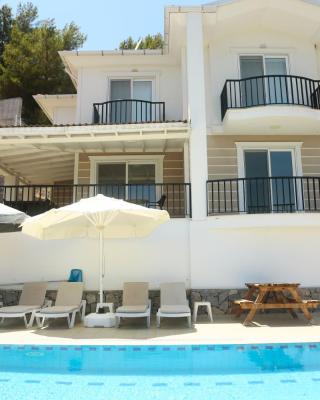 Villa Sarisli 1
