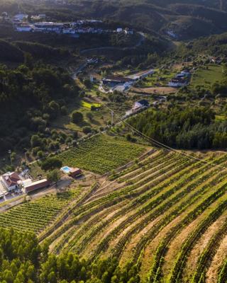 Quinta da Aldeia Nova