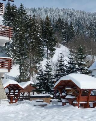 ALEGRIA - MOIECIU DE SUS