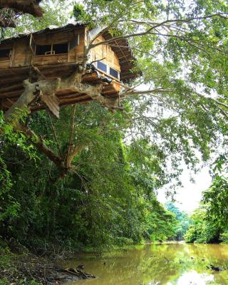 Kumbuk Tree House