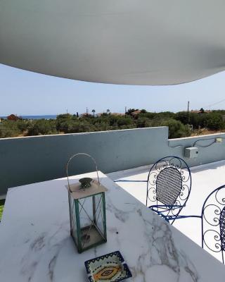 Olive tree house