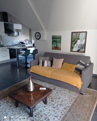 Agréable appartement t2 à St leu