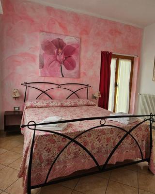 Guest house Il Giardino in Città