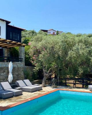 Villa Valia: Traditional Luxurious Residence