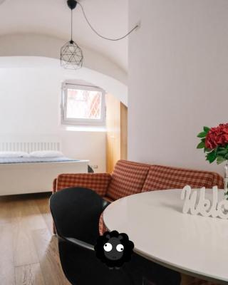 Flat Il Torrazzo XIII Secolo