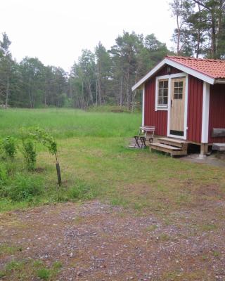 Dunderfriggan på Möja