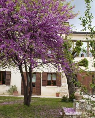 B&B Altè