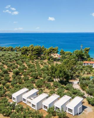 Olea Villas by halu!, Cozy villa in Nikiti