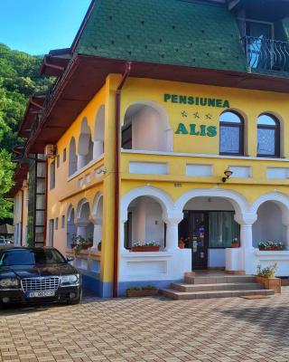 Pensiunea Alis