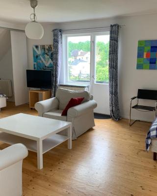 Good spacious apartment in a central location