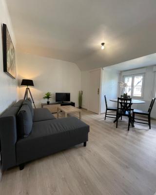 Appartement rénové tout équipé, centre ville, proche de la gare et commerce