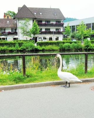 Hotel Schiff Nagold
