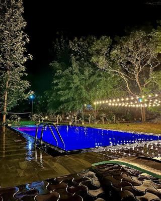 Birds Paradise Inn
