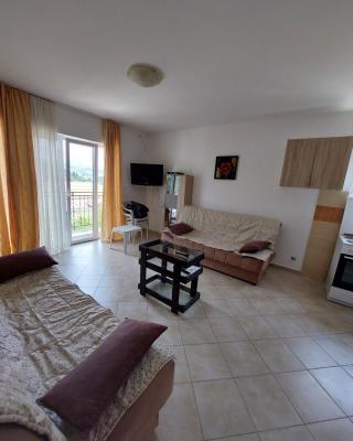 Vesna apartmani, Igalo