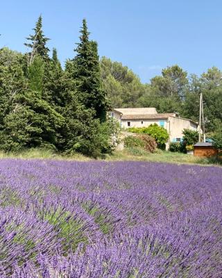 Maison au Colorado Provençal