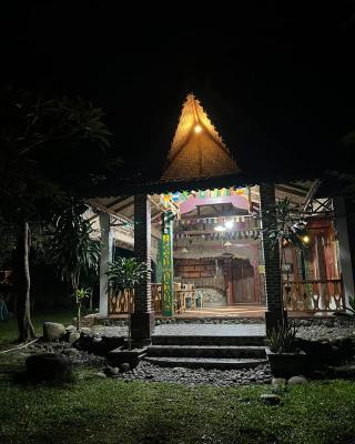Pongo Guest House & only jungle trekking whit us