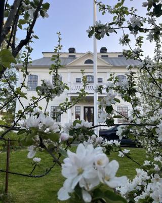 Lägenhet i sekelskifteshus
