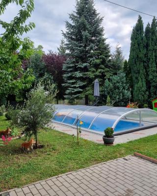 Balaton Holiday