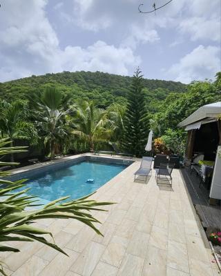 Magnifique maison en bois avec piscine