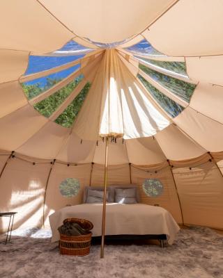 Holmegaard vin og glamping