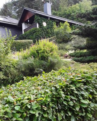 Kleines Haus am Wald