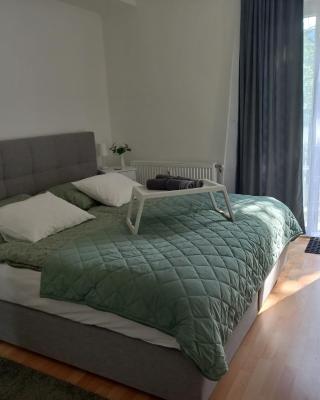 Ferienwohnung Detox