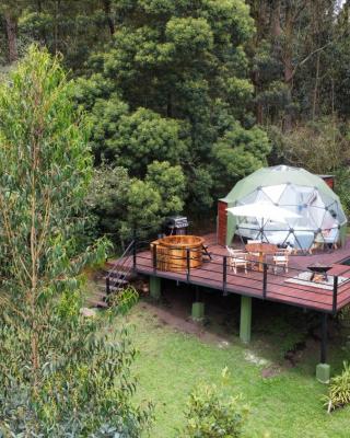 MAUNA Glamping