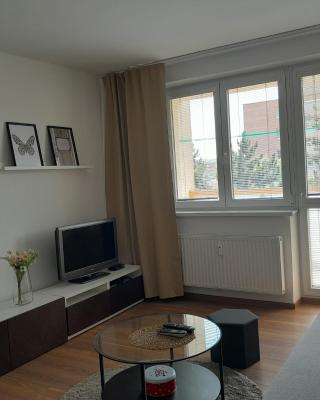 Apartment in the heart of Myjava Town