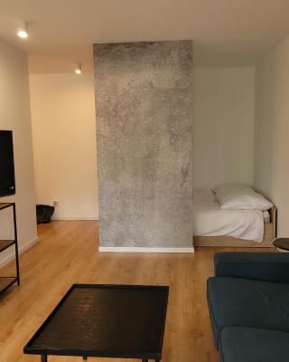 Studio Plejada