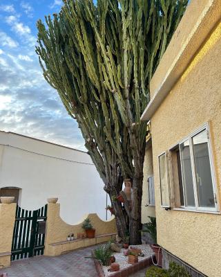 Casa Euphorbia
